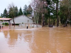 How to Clean Up Flood Damage